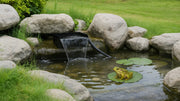 create a friendly garden pond for frogs 