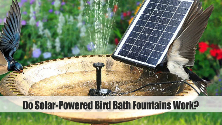 Do Solar-Powered Bird Bath Fountains Work?
