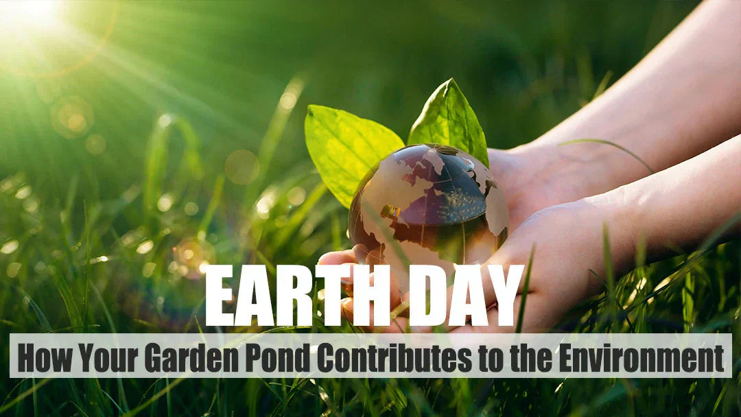 earth day 2026 garden pond