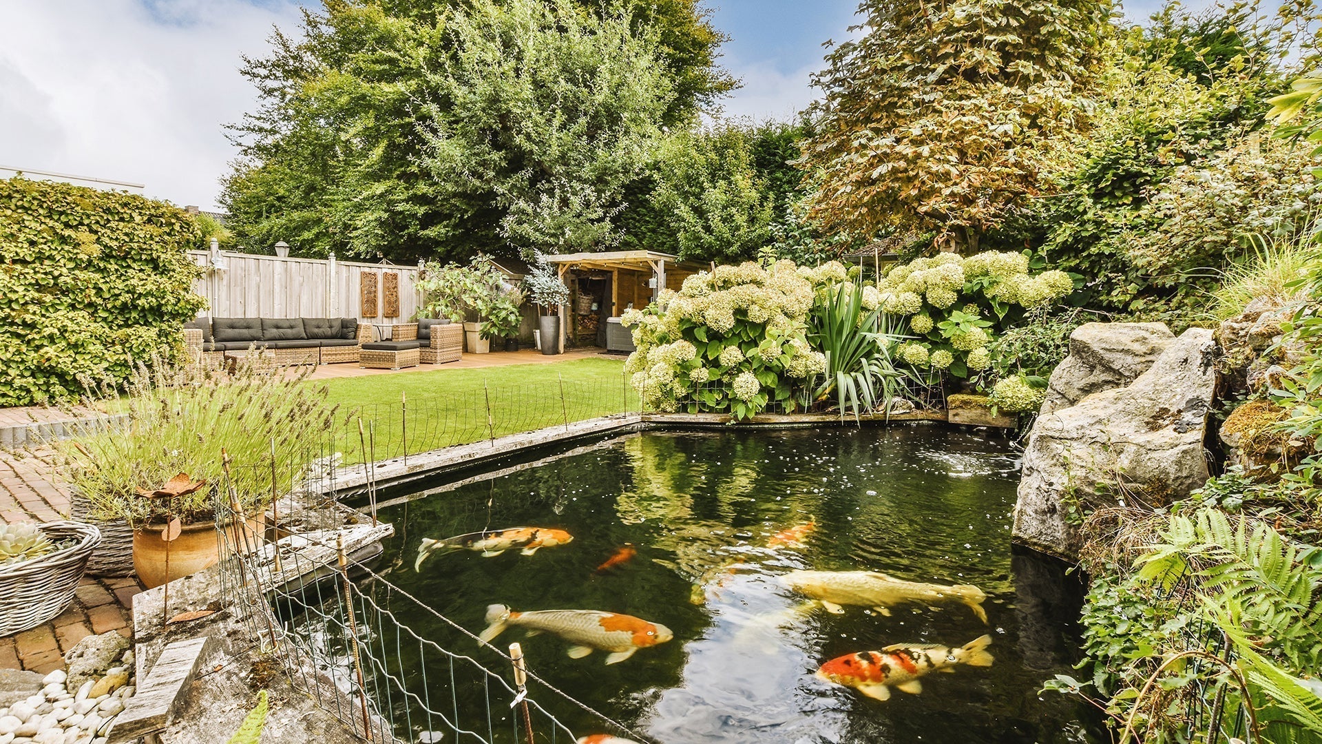 garden pond shapes style