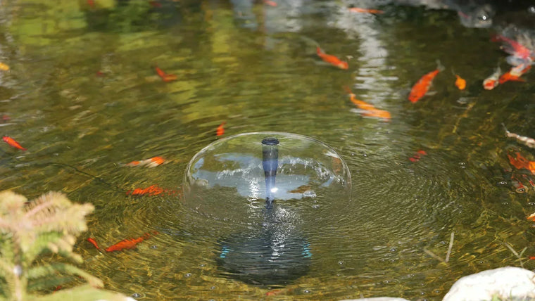 Was Sie über Teichfiltration wissen müssen?