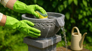 keep your birdbath clean without harming birds