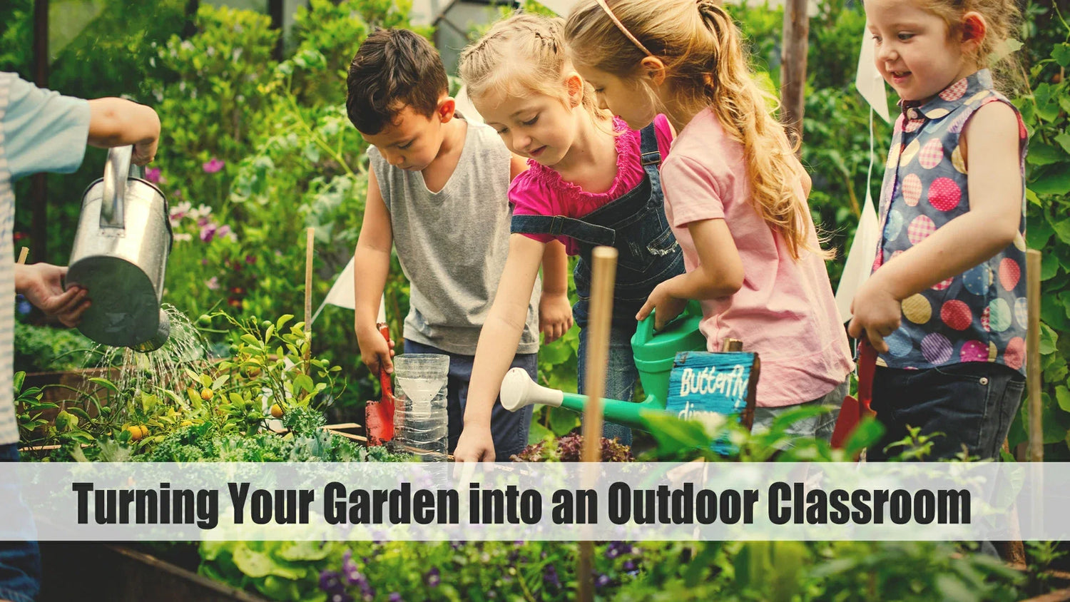 outdoor classroom design