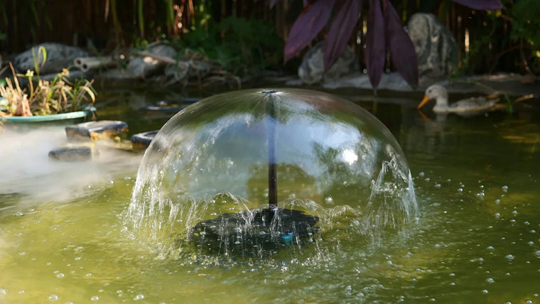 Wie Sie den richtigen Teichfilter für Ihren Teich auswählen