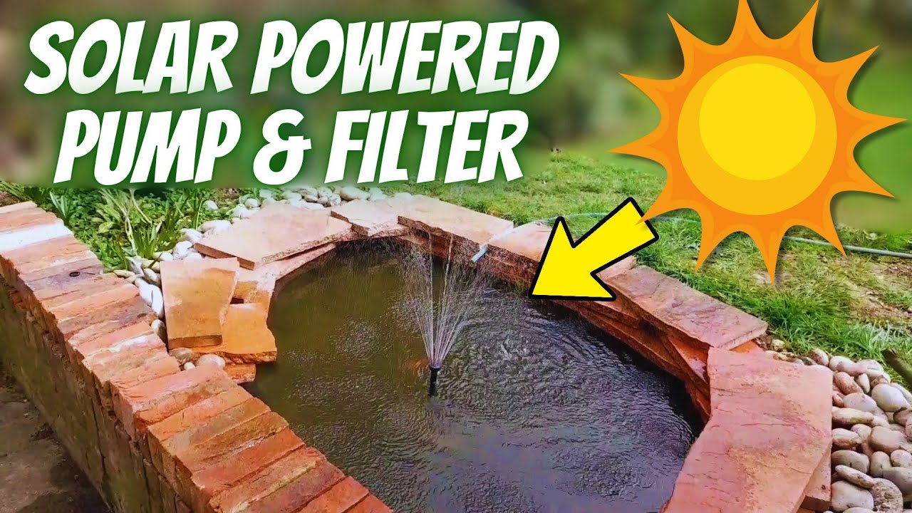 My Journey of Installing and Using Poposoap Solar Pond Filter