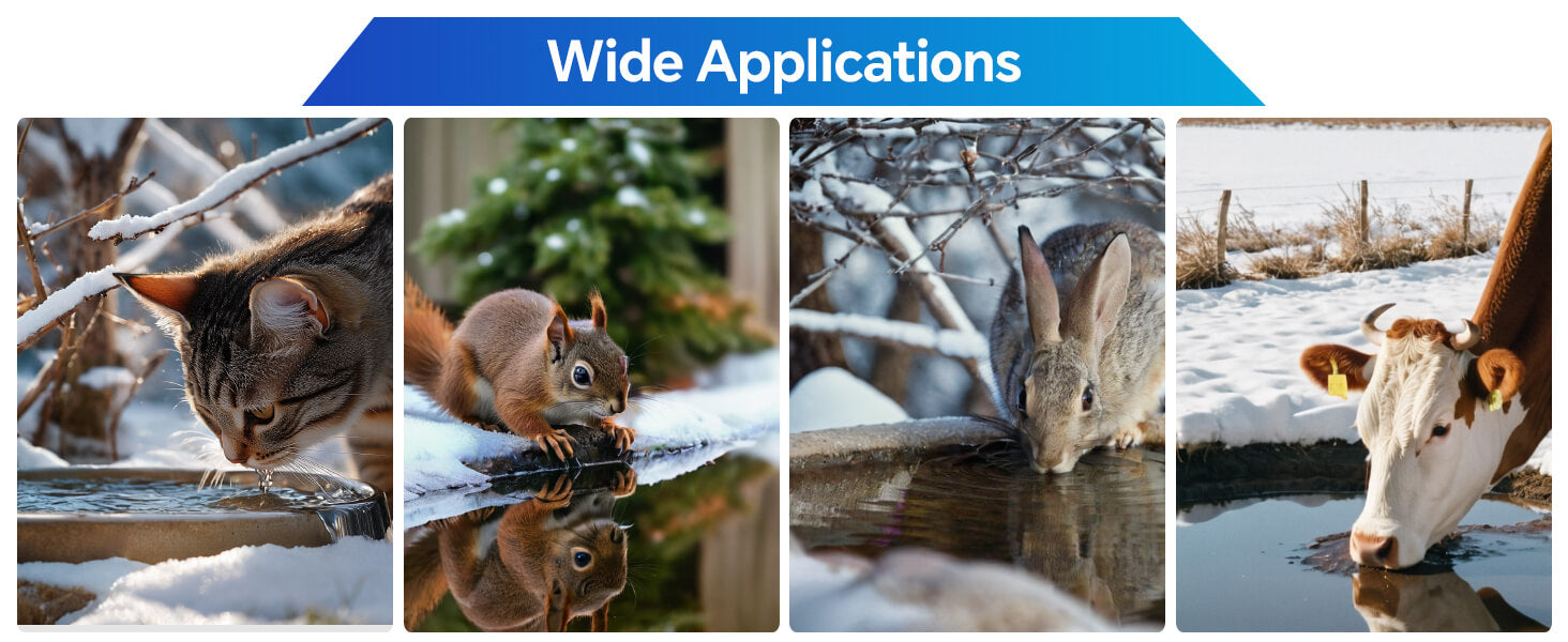 Reliable Winter Water Source for Wildlife