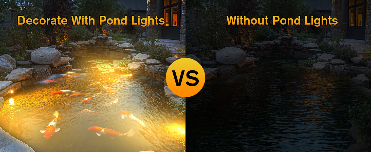 See the Difference at Night