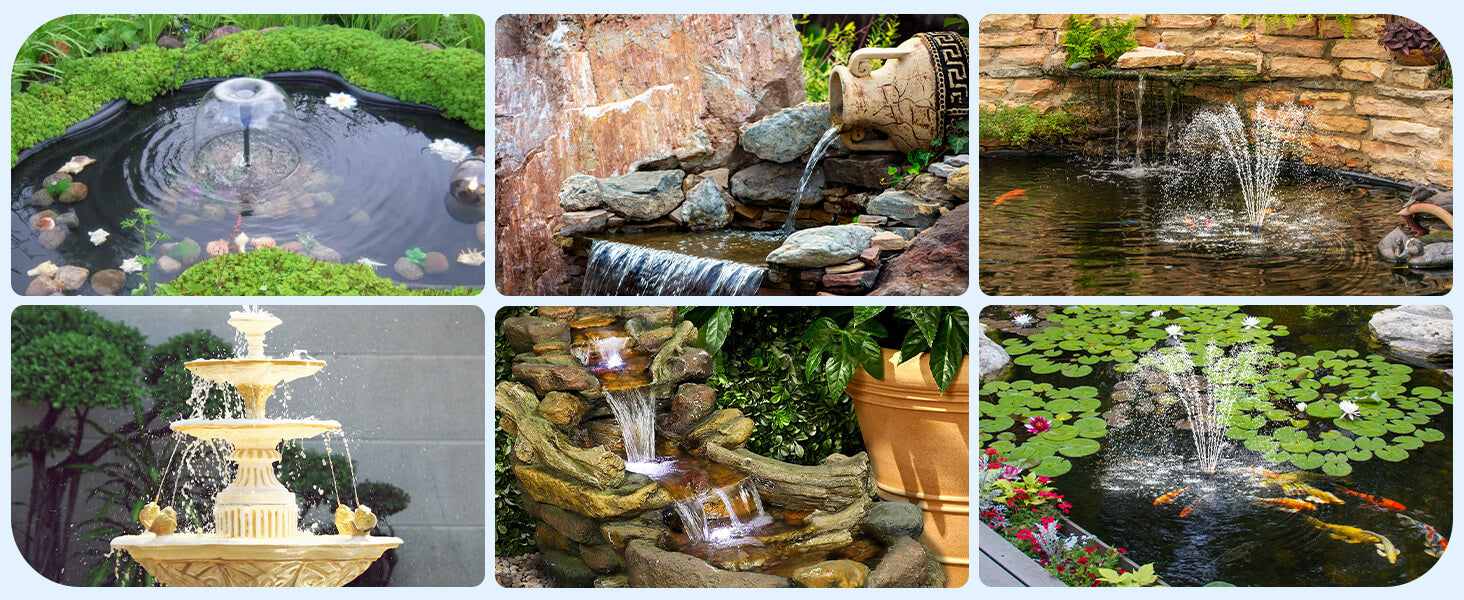 Enhance Pond Beauty While Supporting Aquatic Life
