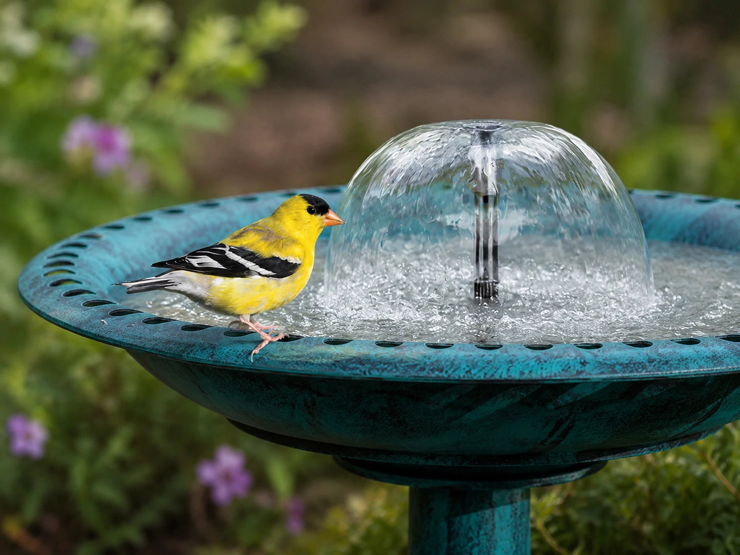 Small pond water feature using a compact solar fountain kit