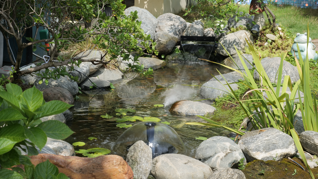 Pond Living, Aquatic Excellence
