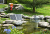 Brunnen