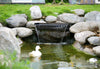 Wasserfälle
