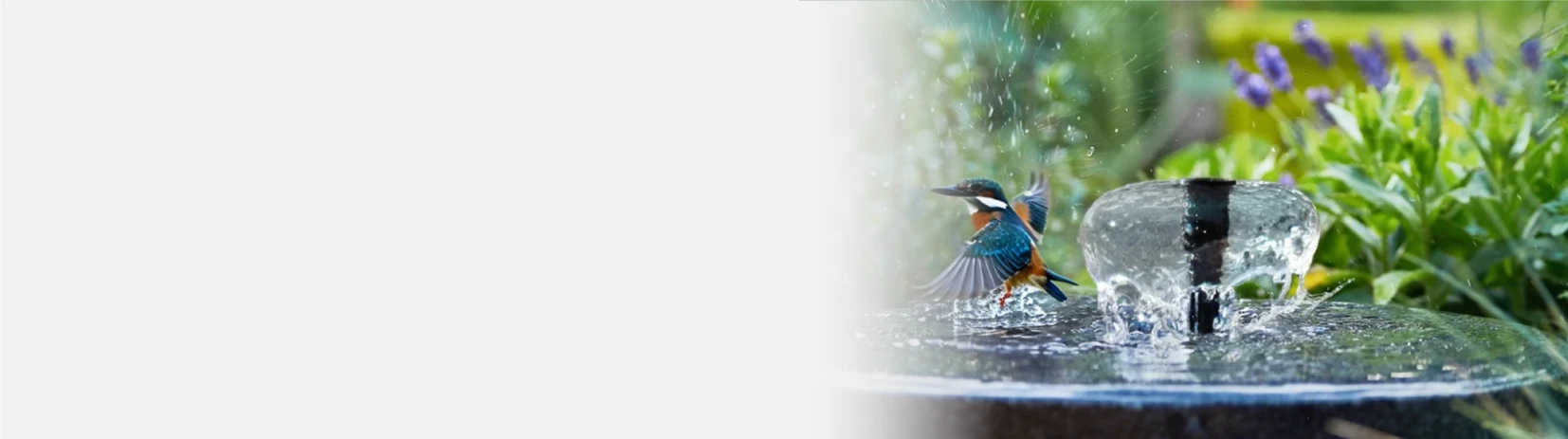 Solar Bird Bath Fountain Pumps