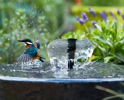 Springbrunnen für Vogeltränken