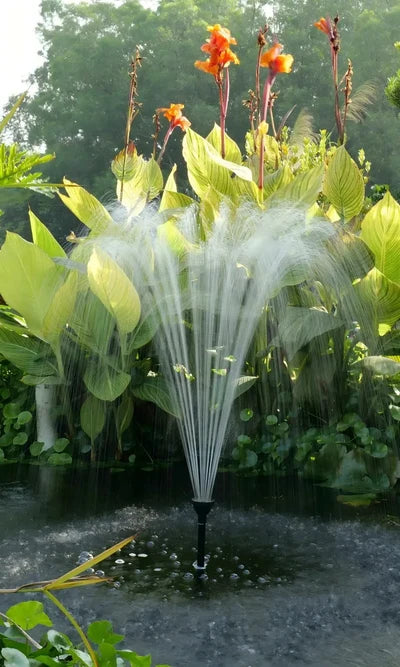 Springbrunnenpumpen