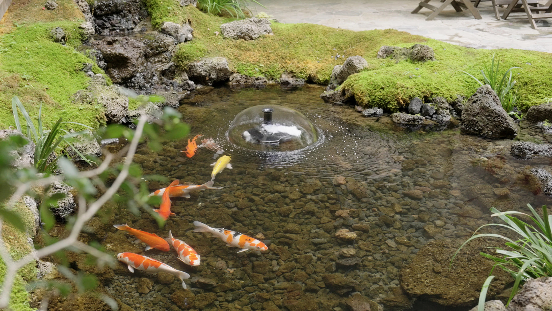 Backyard water feature example
