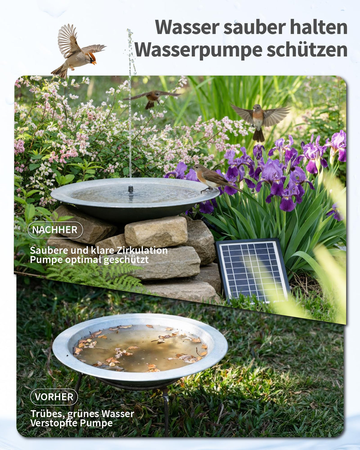 6,5W Solar Springbrunnen mit Teichfilter und Akku