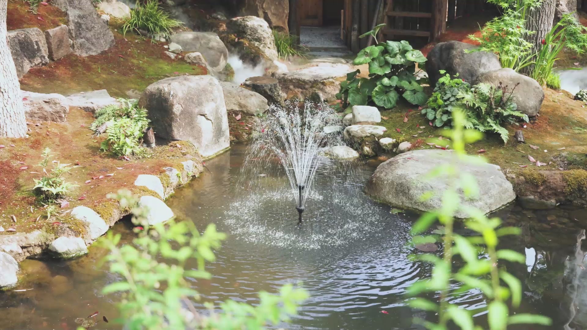 solar power filter for pond,solar fish pond pump and filter,solar fish pond filter,solar powered pond filter pump,pond filter pump solar,pond filter solar,pond solar pump and filter