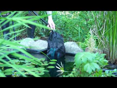 660GPH Waterfall Pump Kit with 8" Spillway & Light