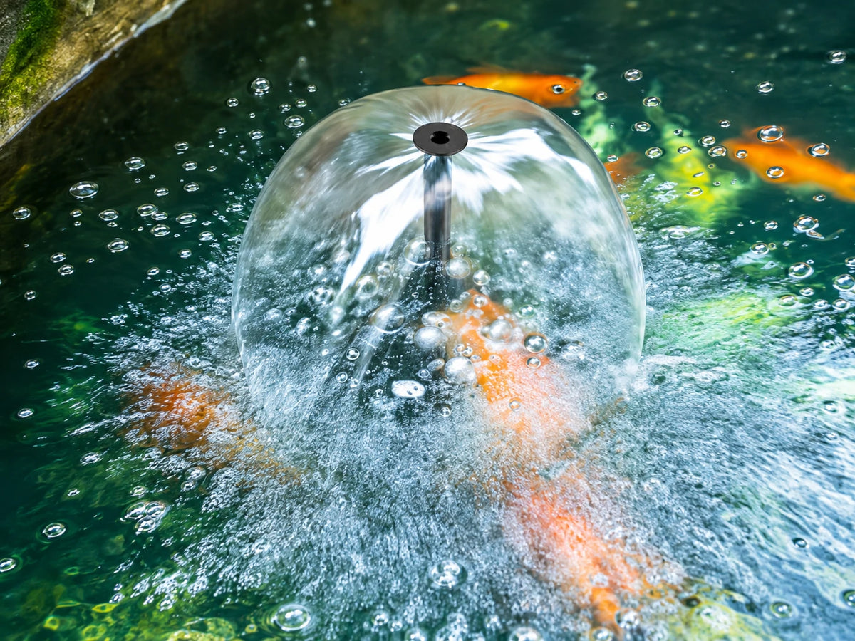 Fischtanks